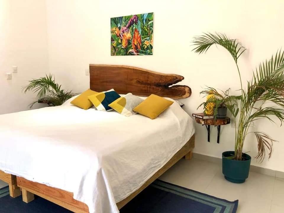 Villas Chital Bacalar Exteriör bild